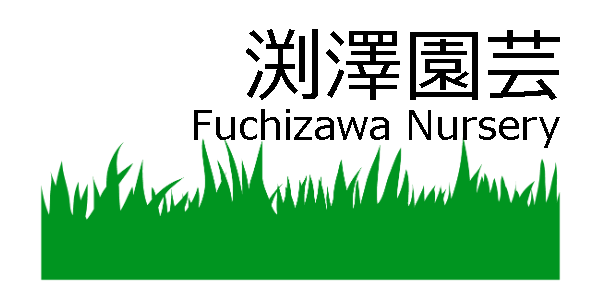 渕澤園芸 | Fuchizawa Nursery